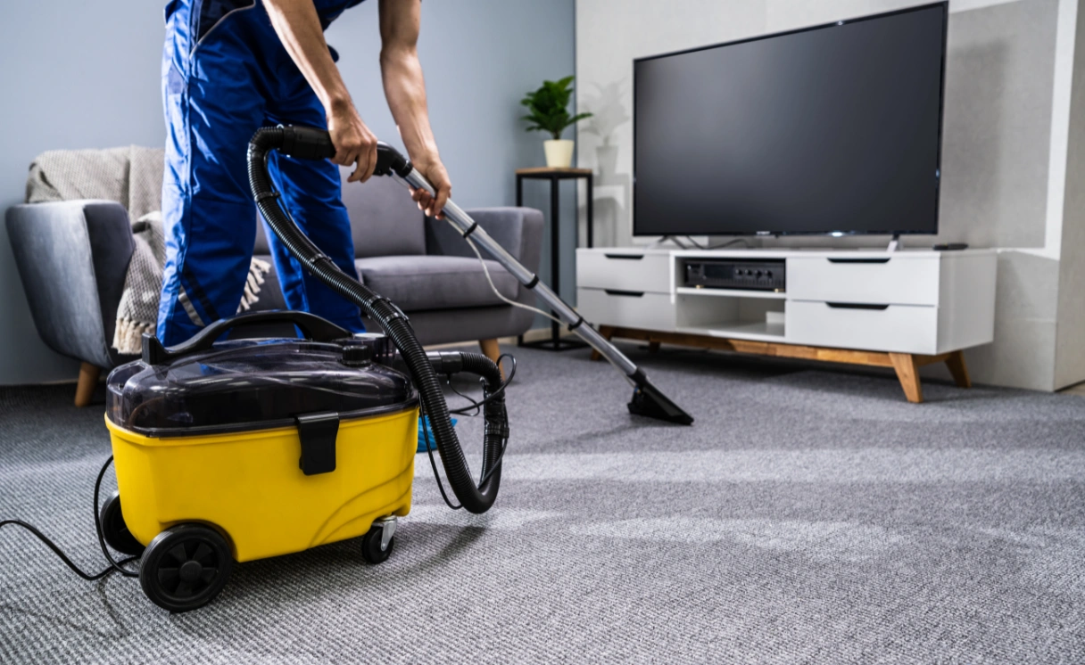 Extract Upholstery Cleaning Gardenvale Contact Office
